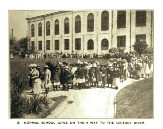 Screen Shot 2019-06-05 at 9.05.46 AM